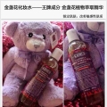 澳洲薰衣草小熊