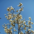 2012年4月