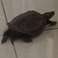 我的相册