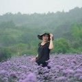 我的相册