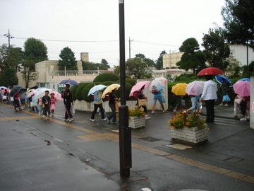 dsc07378.jpg