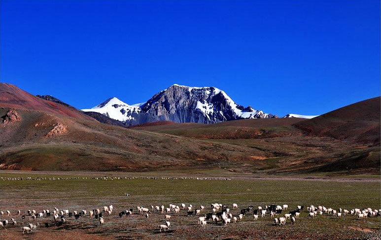 62-阿里打耳根日雪山02.jpg