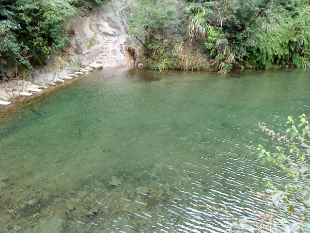 DSC01612.JPG