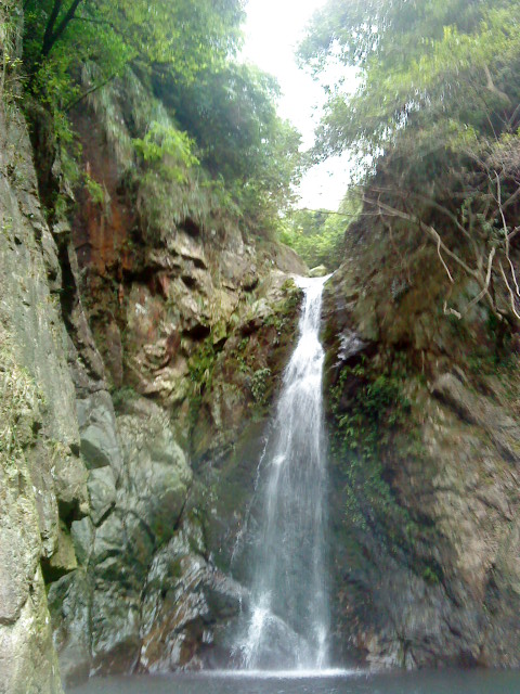 DSC01616.JPG