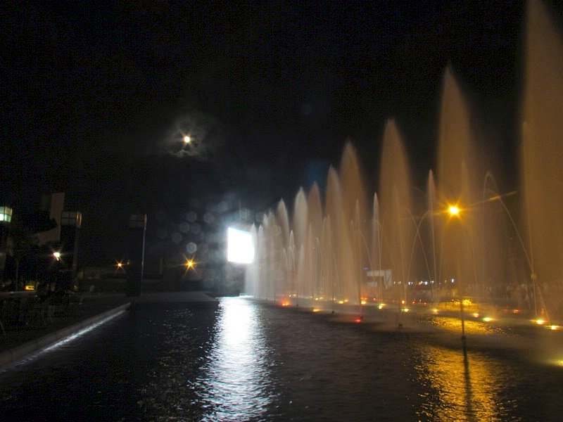 IMG_1126.jpg