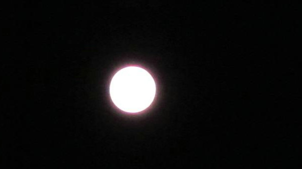 1_4602_aef7c474f5b81fe.jpg