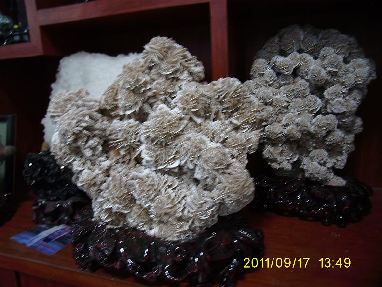 SA551103.JPG