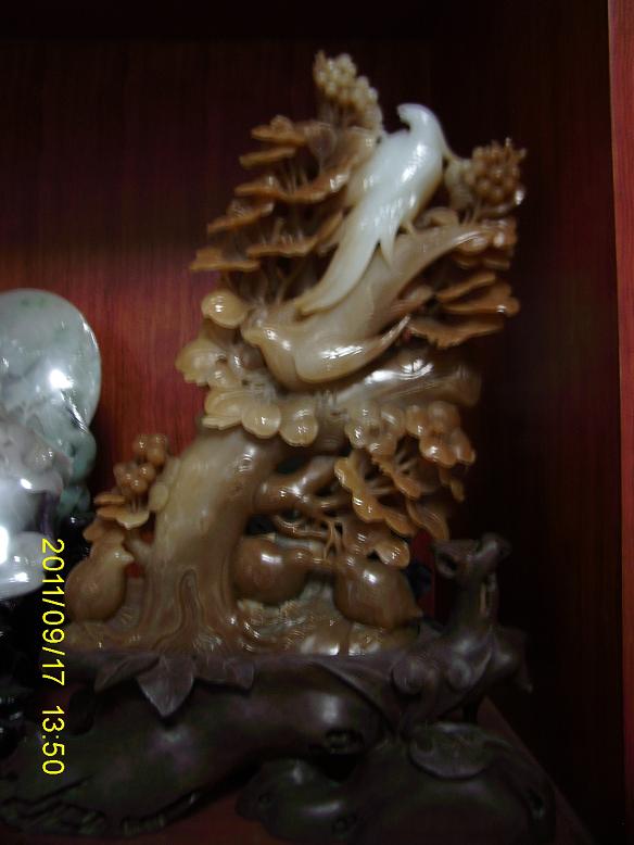 SA551105.JPG