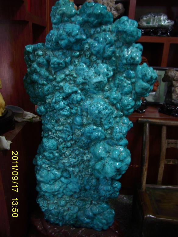 SA551107.JPG