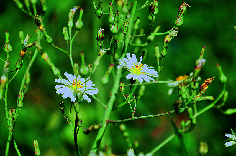 DSC_0024.JPG