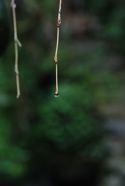 DSC_0361.jpg