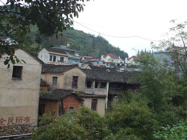 FILE1563.jpg