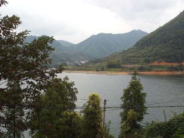 FILE1582.jpg