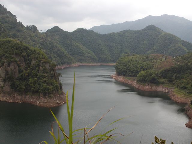 FILE1629.jpg