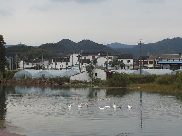 FILE1702.jpg