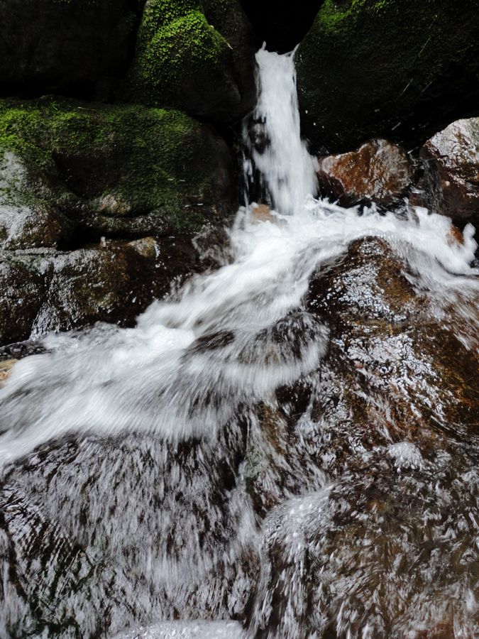 DSC01016.jpg