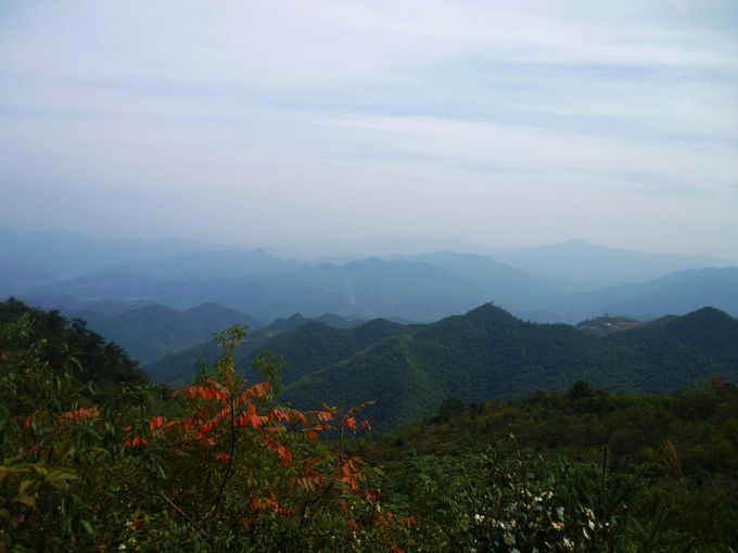P1100012.JPG