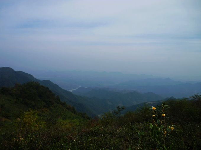 P1100017.JPG