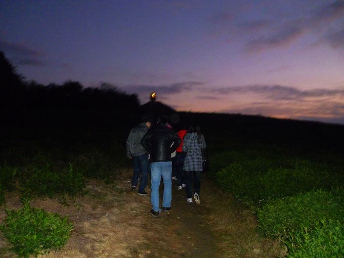 P1100223.JPG