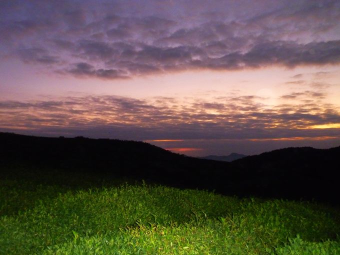P1100224.JPG