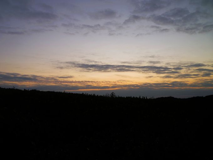 P1100227.JPG