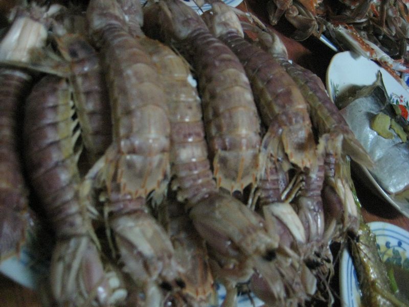 2011-10-23象山34.jpg