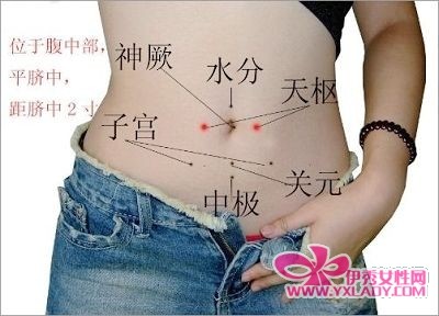 穴位图