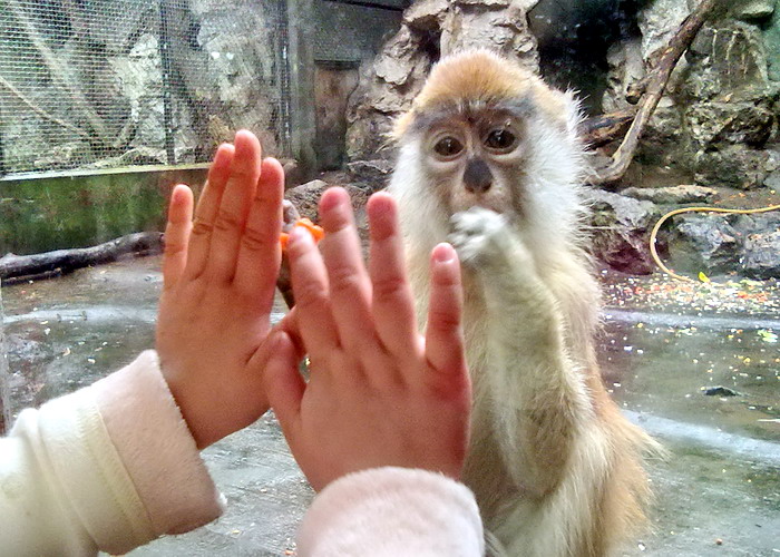 20111030095.jpg