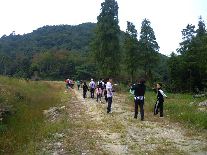 P1100330.JPG