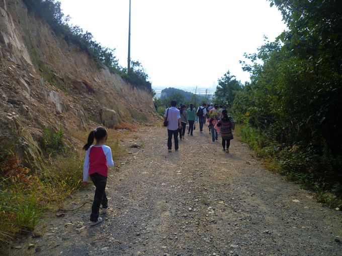 P1100347.JPG