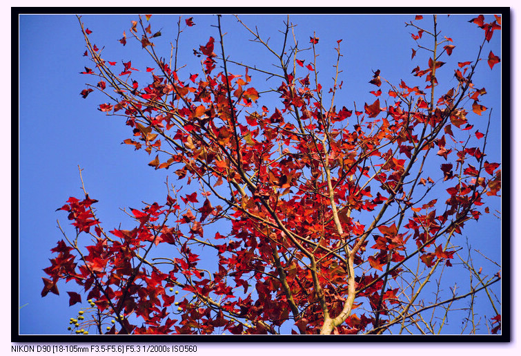 DSC_0040.JPG