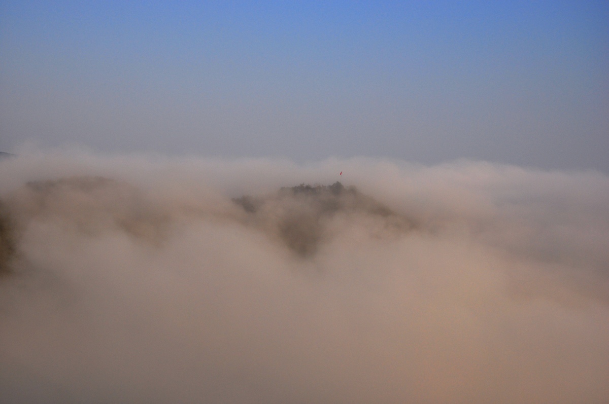 DSC_4882F.jpg