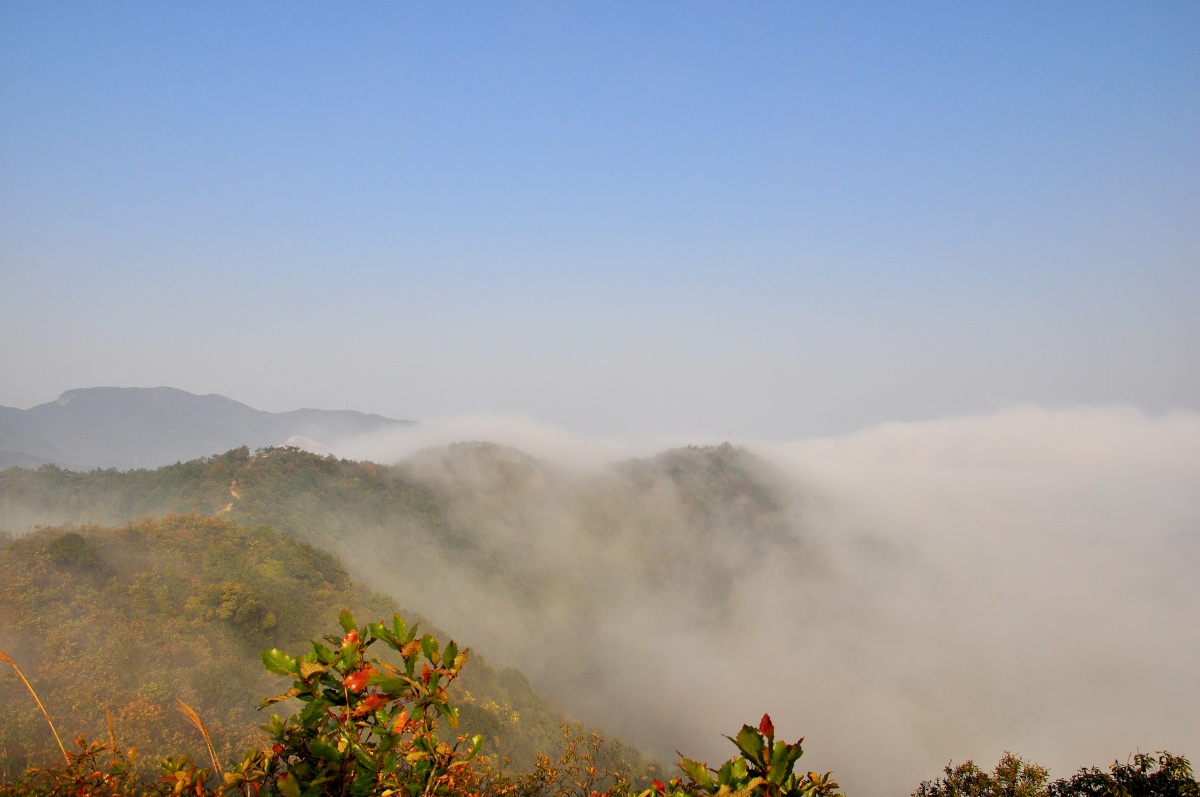 DSC_4915F.jpg