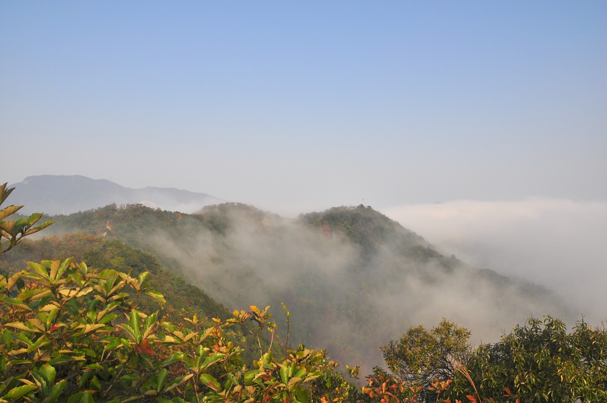 DSC_4944F.jpg