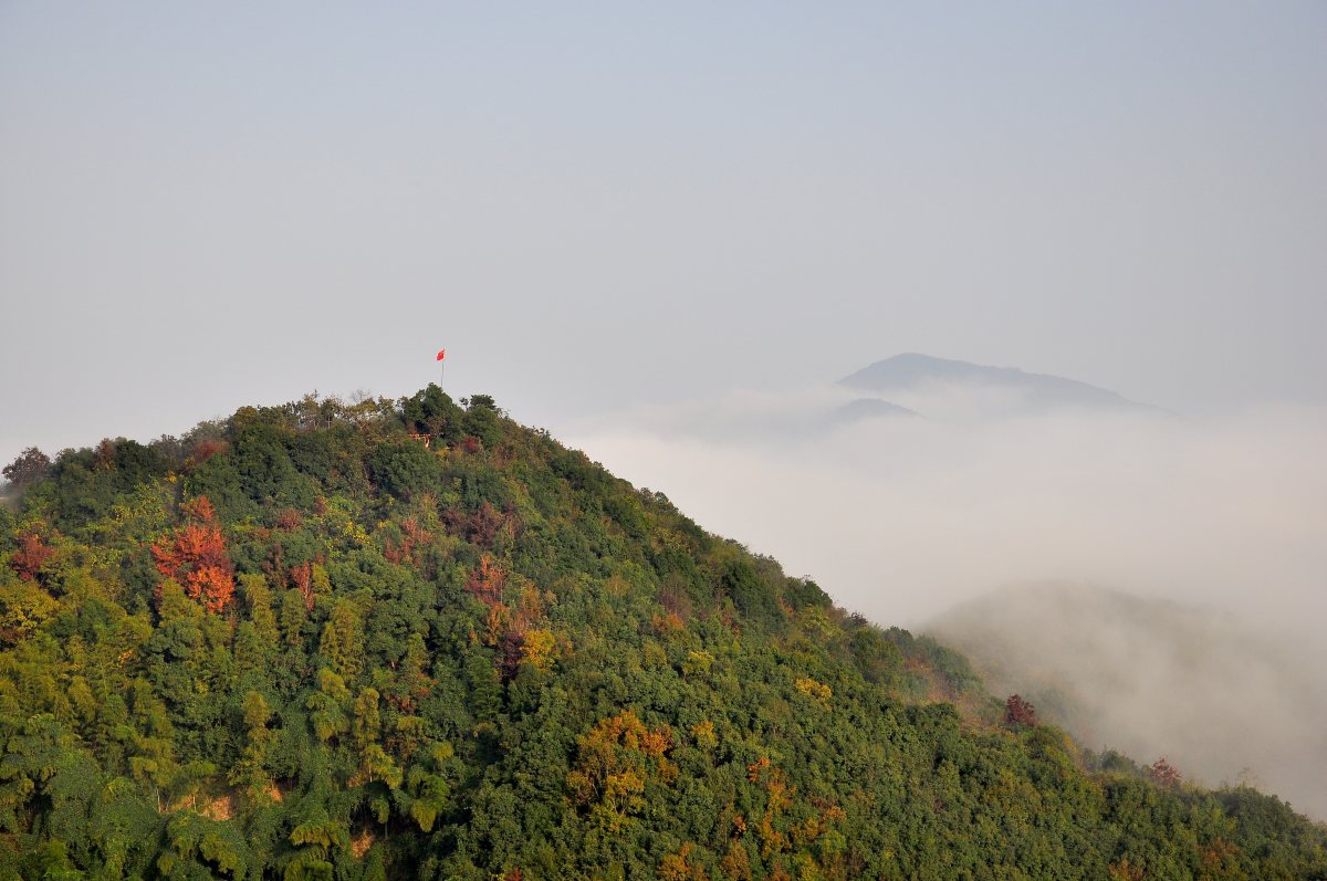 DSC_5003F.jpg