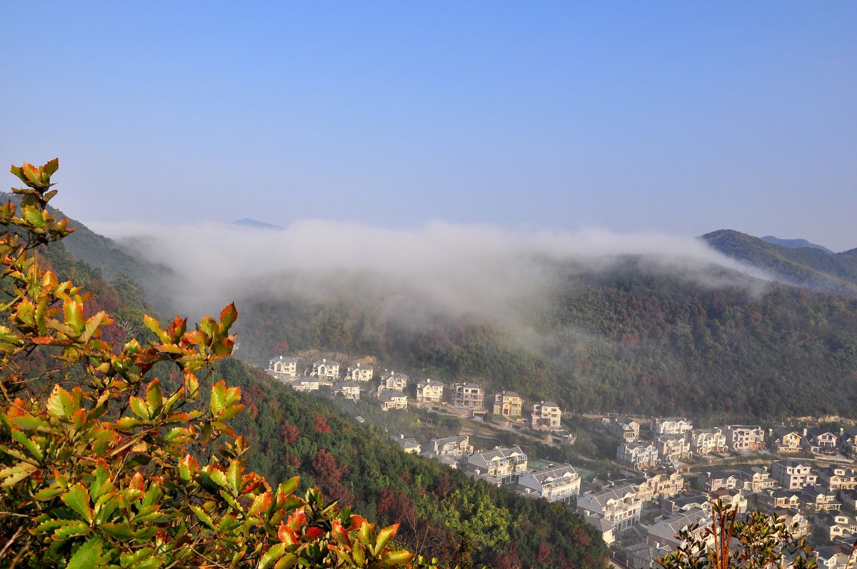 DSC_5015F.jpg