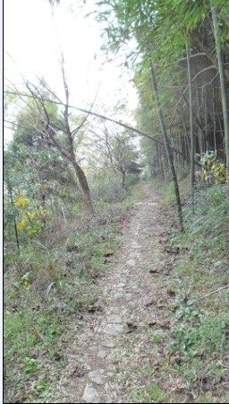 未命名9.jpg