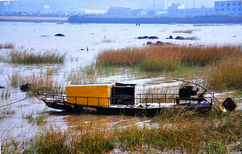 DSC_0063.JPG