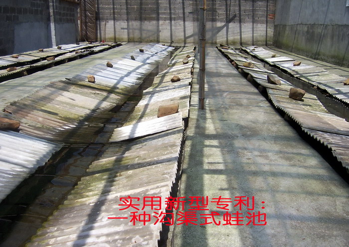 100_5968.jpg
