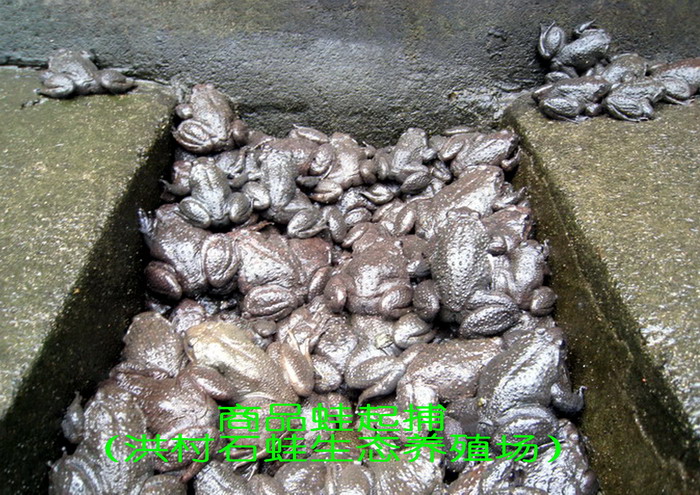 20093311271717.jpg
