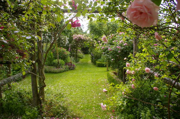 MM616_20096510370580.jpg