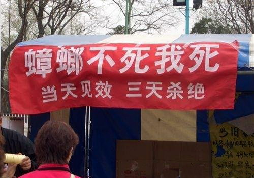 20111125032453524_small.jpg