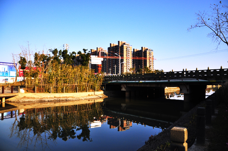 DSC_0206.JPG