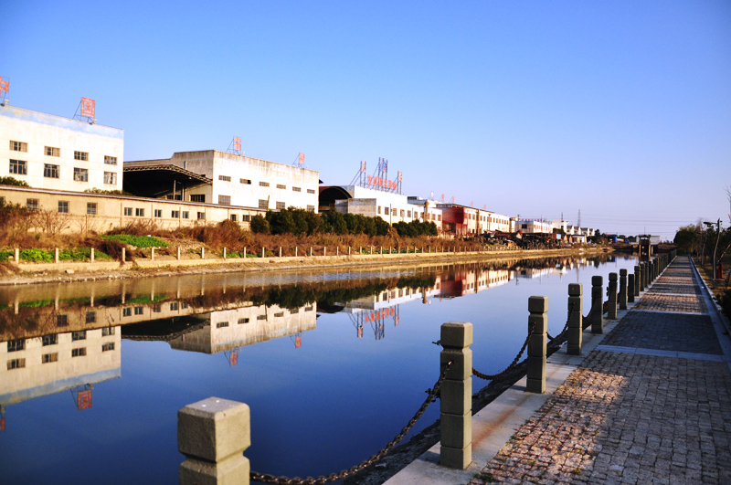 DSC_0244.JPG