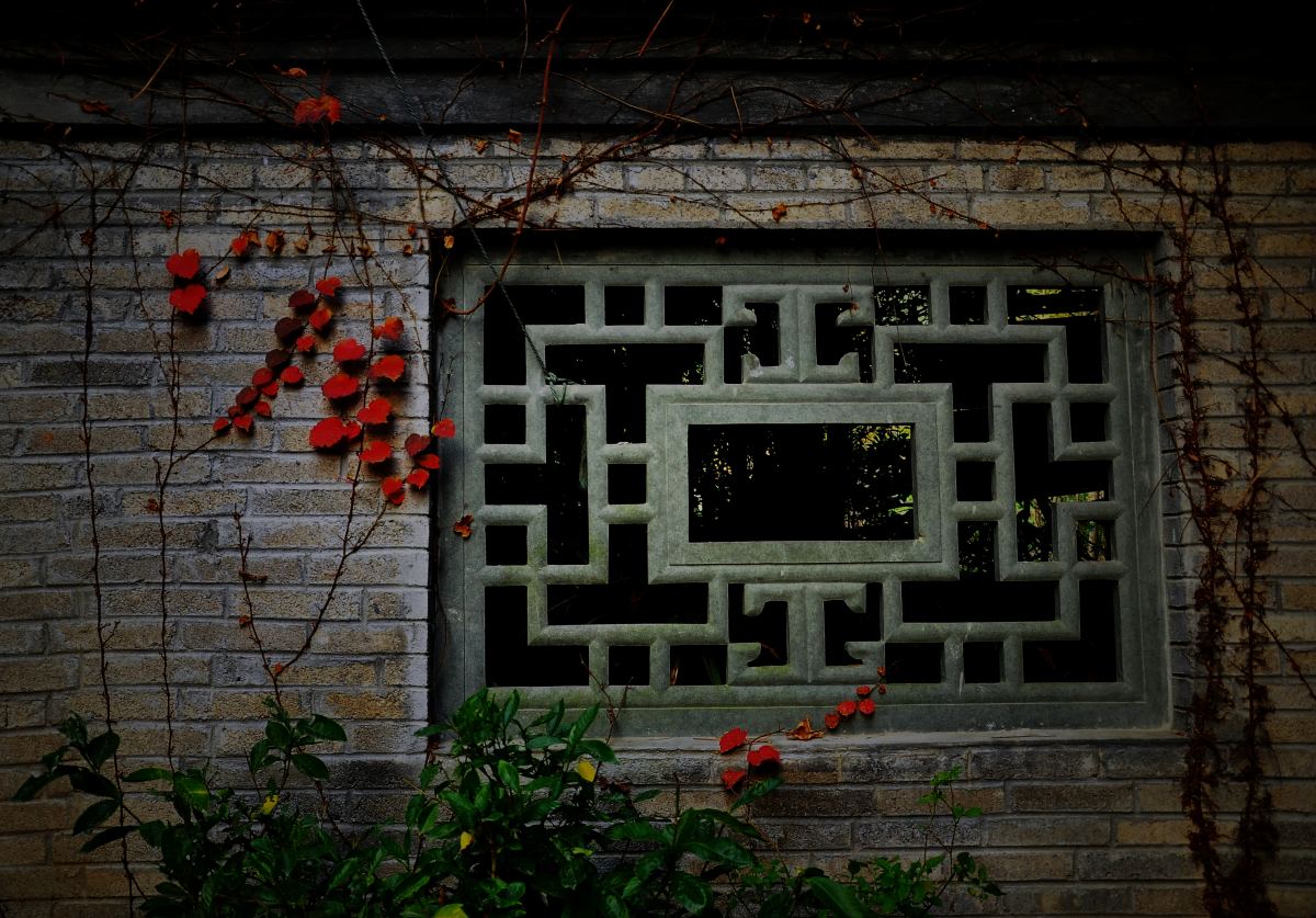 DSC_4679F.jpg