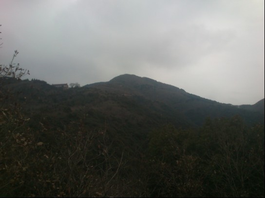 未命名9.jpg