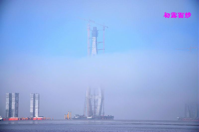 初露面纱5.JPG