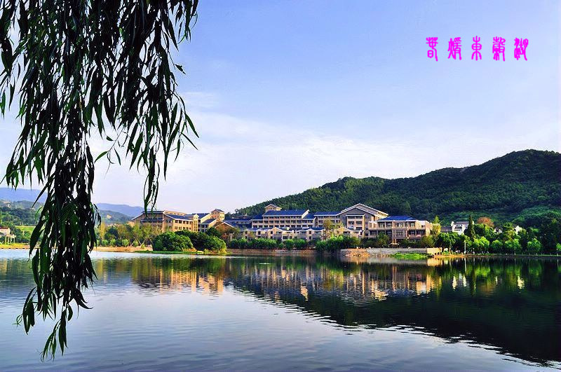 东谷湖的请晨.jpg