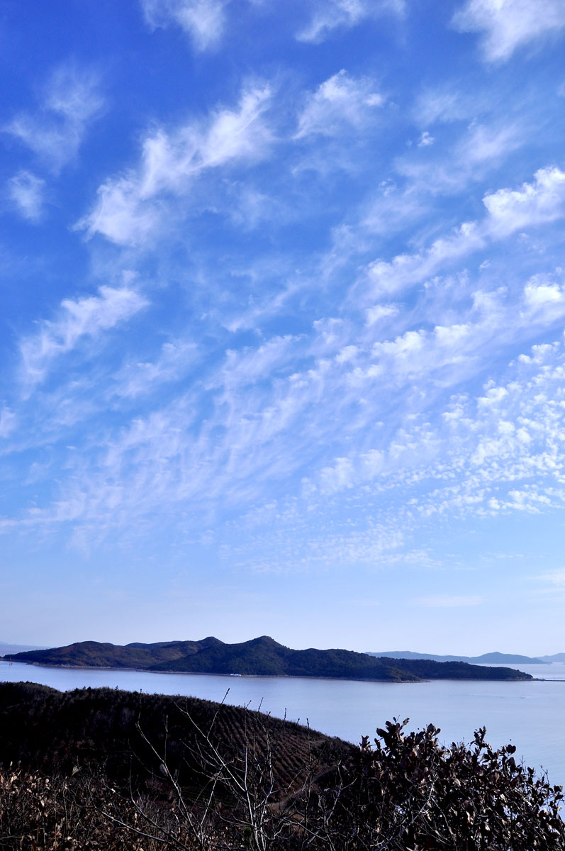 DSC_0158f.jpg