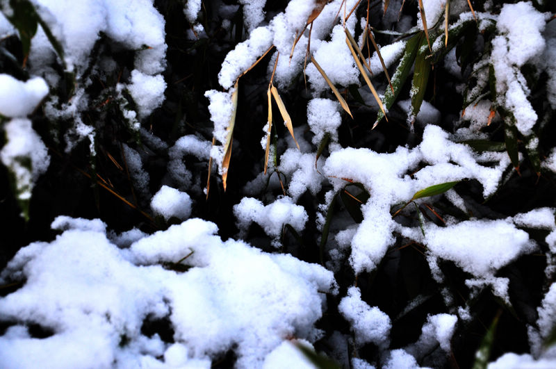 nEO_IMG_DSC_0047.jpg